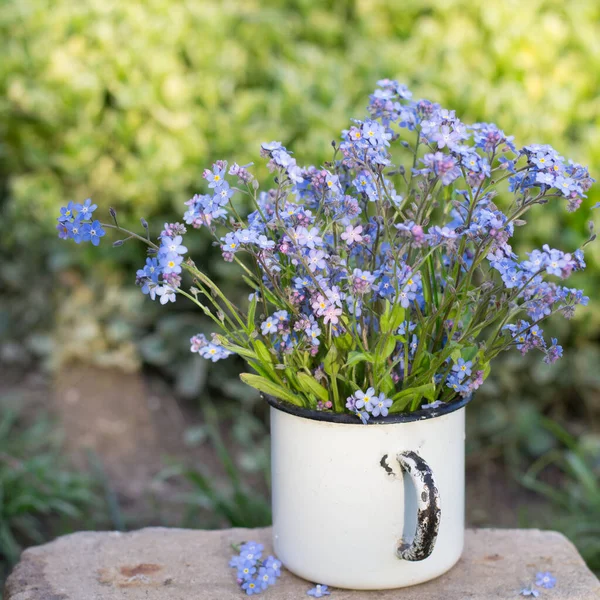 Forget Cup Garden — Stock Photo, Image