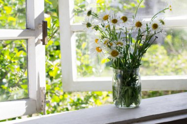 Bouquet of daisies in  jar on windowsill clipart
