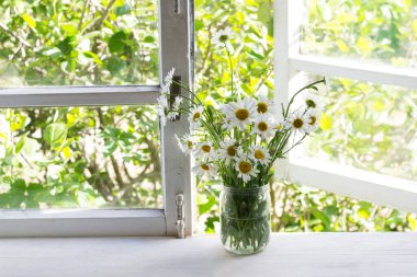 Pencere kenarındaki kavanozda bir buket papatya