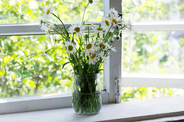 Bouquet Daisies Jar Windowsill — Stock Photo, Image