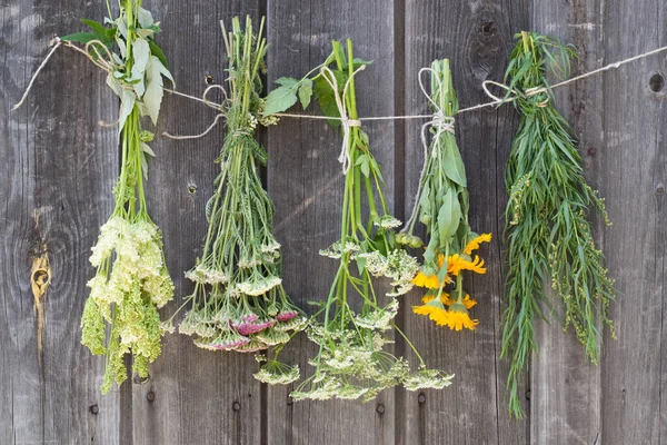 Herbes Médicinales Suspendues Séchant Sur Fond Bois — Photo