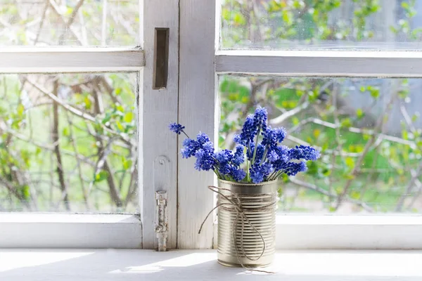 Bouquet Hyacinths Window Sill — Stock Photo, Image