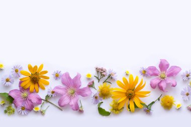  Beyaz arka plan üzerinde renkli çiçekler