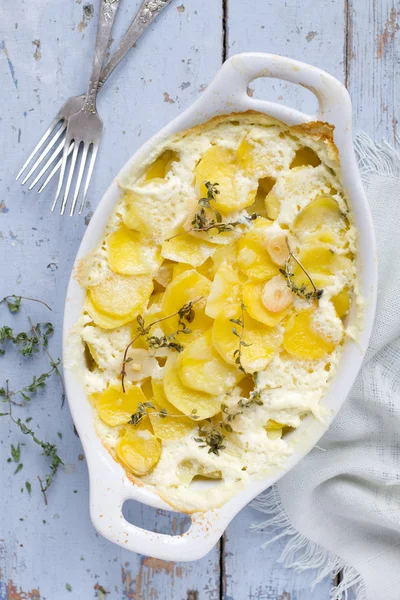 Potato gratin — Stock Photo, Image