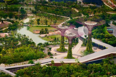 Singapur'da süper ağaçlar, körfezdeki botanik bahçelerinde.