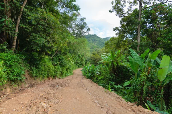 Opuszczony dżungli drogi w górach — Zdjęcie stockowe