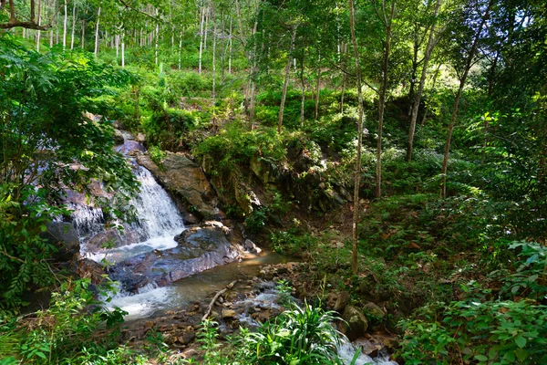 热带丛林瀑布在绿色热带森林 — 图库照片