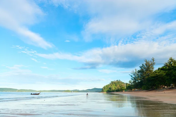 Tropischer Baumstamm breite flache Küste tropischer Strand — Stockfoto