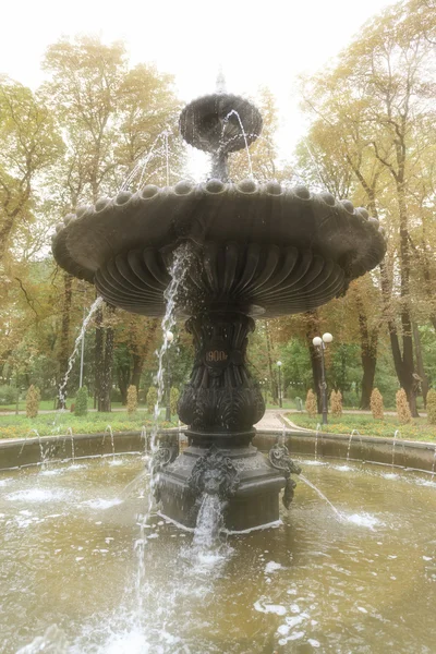 Kunstvoller, gemeißelter Brunnen in einem öffentlichen Park — Stockfoto