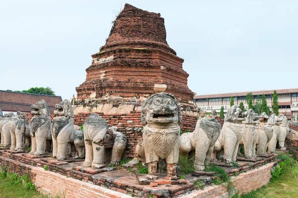 Starověké sochy obklopují Stupa na Wat Thammikarat v Ayutth — Stock fotografie