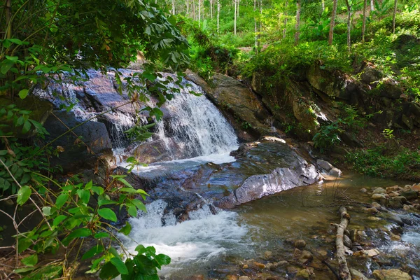 Natural Waterfall in a Tropical, Wooded Nature Area — Stock Photo, Image