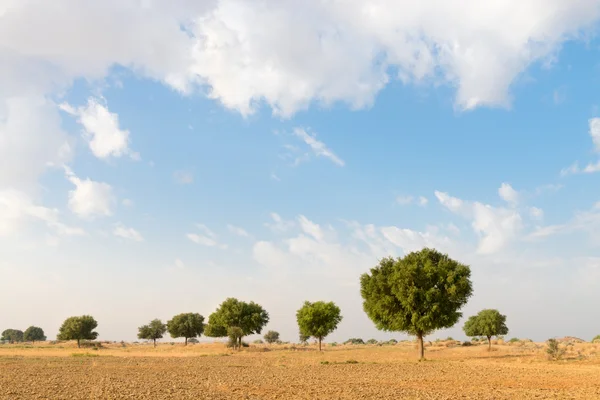 Campo agrícola arado no deserto — Fotografia de Stock