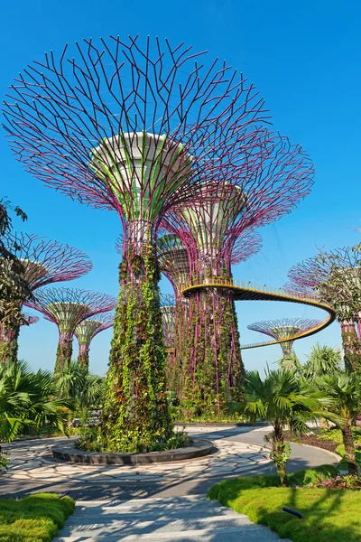 Supertrees op tuinen langs de baai park, singapore — Stockfoto