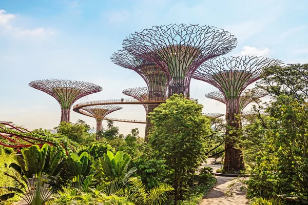 ガーデンズ ベイ公園、シンガポール supertrees — ストック写真