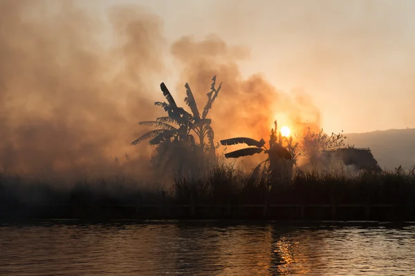 Fogo e fumaça em campos tropicais — Fotografia de Stock