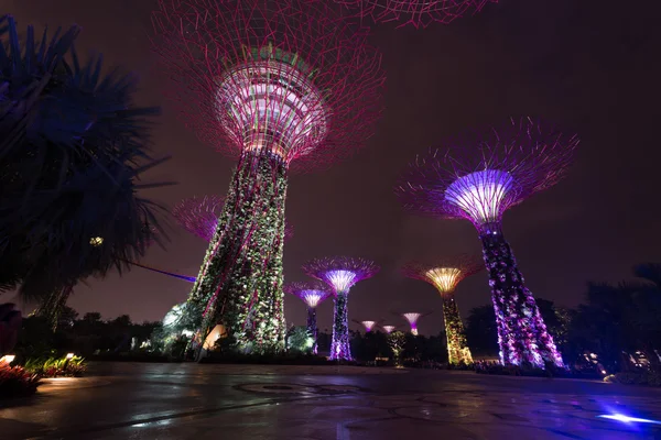 Ночное освещение в садах у залива, Сингапур — стоковое фото