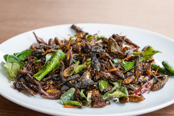 Insectos comestibles fritos se mezclan en plato blanco —  Fotos de Stock