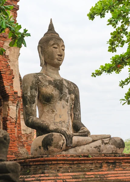 Buda heykelinin meditasyon bhumisparsha mudra duruş