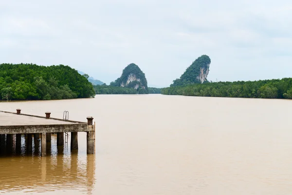 Due scogliere calcaree sopra il fiume tropicale e la mangrovia — Foto Stock