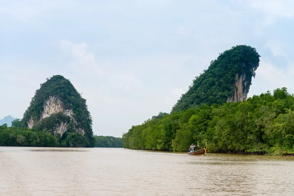 Two limestone cliffs above tropical river and mangrove — Stock Photo, Image