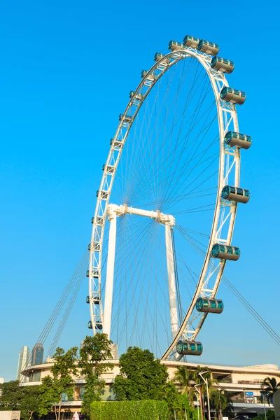 Giant Ferris wheel Singapore Flyer — Stock Photo, Image