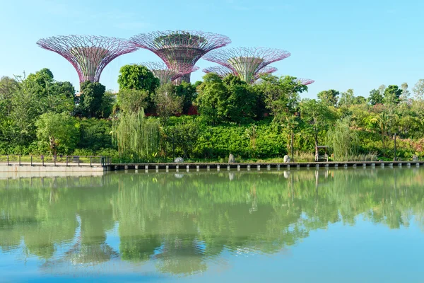 Supertrees bahçelerde defne Park, Singapur — Stok fotoğraf