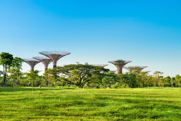 Superárvores nos Jardins perto do parque Bay, Singapura — Fotografia de Stock