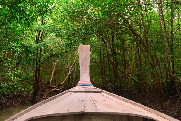 Ξύλινο καραβάκι στο σκοτεινό ριζοφόρων δάσος. — Φωτογραφία Αρχείου