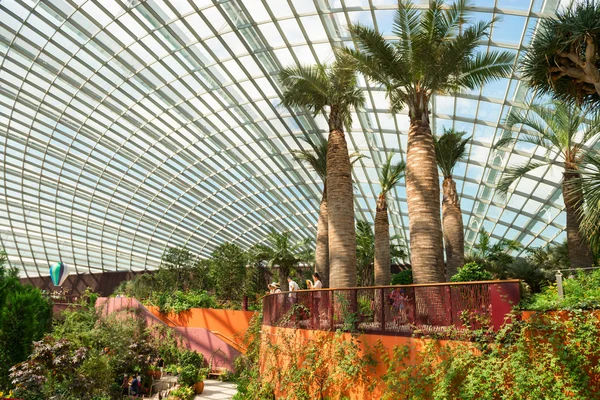 Interior of the Flower Dome a central attraction at Gardens by t — Stock Photo, Image