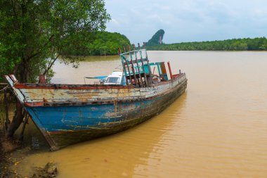 terk edilmiş eski ahşap tekne ve çamurlu bir nehir üzerinde bozulan