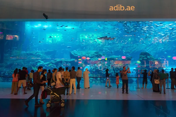 Acuario de Dubai, colocado con el Dubai Mall, atrae a muchos turistas —  Fotos de Stock