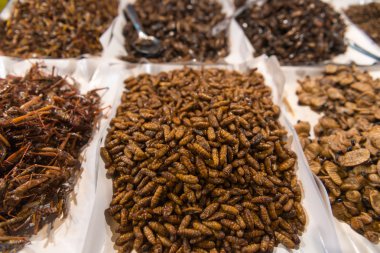 Cooked, Edible Insects and Grubs for Human Consumption at a Publ clipart