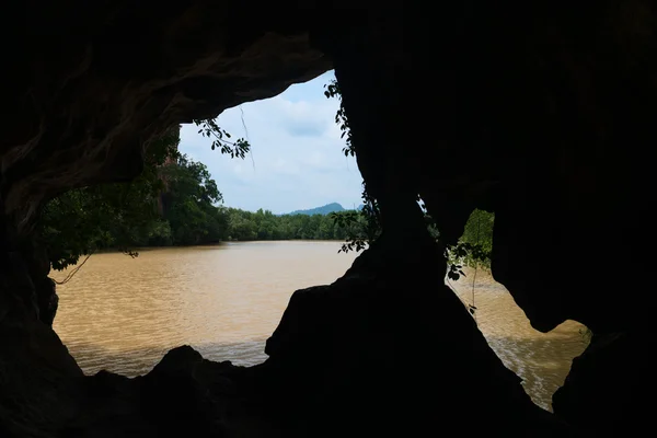 Мутная речная вода из устья естественной пещеры — стоковое фото