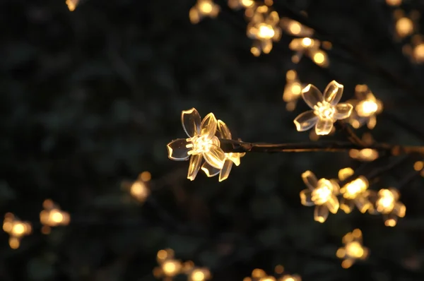 Noel dekorasyon ağaçlarda