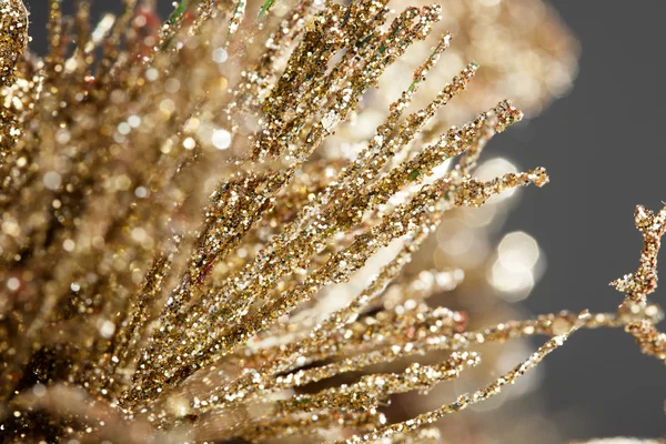 Ramo da árvore de Natal em cinza — Fotografia de Stock