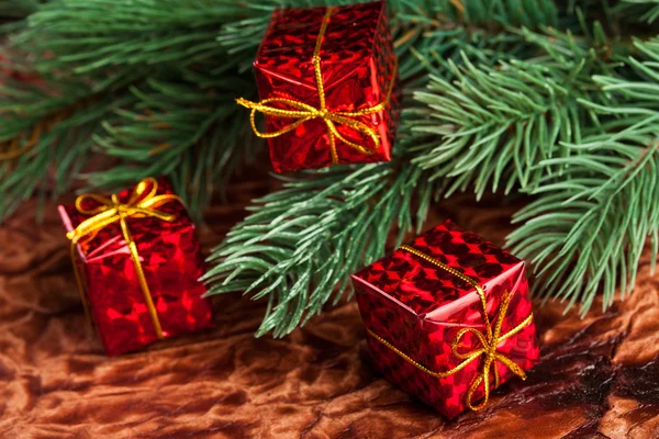 Ramo da árvore de Natal com caixa de presente — Fotografia de Stock