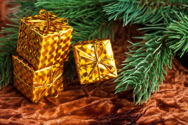 Branche de sapin de Noël avec boîte cadeau — Photo