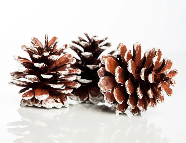 Christmas decoration with festive pinecone Royalty Free Stock Images