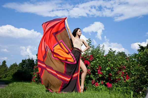 Beautiful girl on the nature — Stock Photo, Image