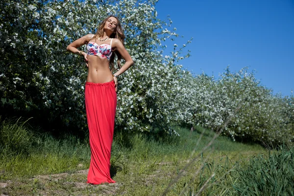 Mooi meisje op de natuur — Stockfoto