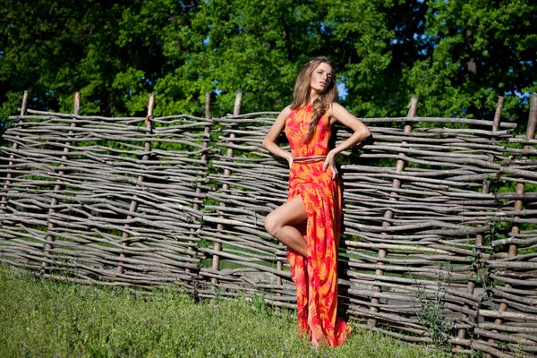 Menina bonita na natureza — Fotografia de Stock