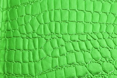 deri doku arka planı için