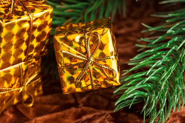 Karácsonyi ajándék doboz fa ága — Stock Fotó