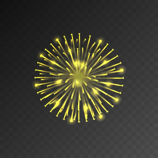 반짝이 붕괴의 꽃무늬 불꽃 축제 개 — 스톡 벡터