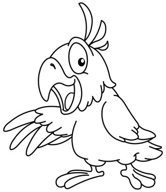 Sunan papağan özetlenen