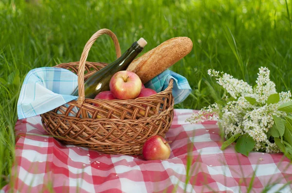 Picknick — Stockfoto