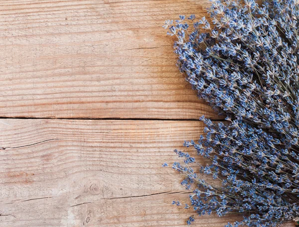 Lavender — Stock Photo, Image