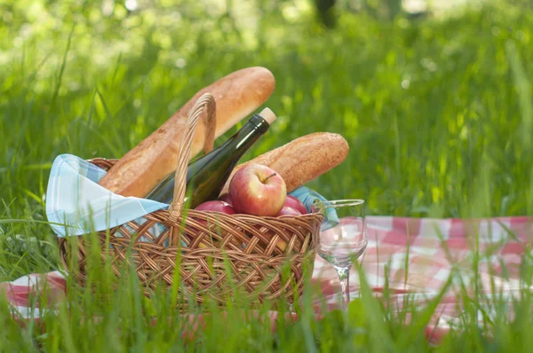 Picknick — Stockfoto