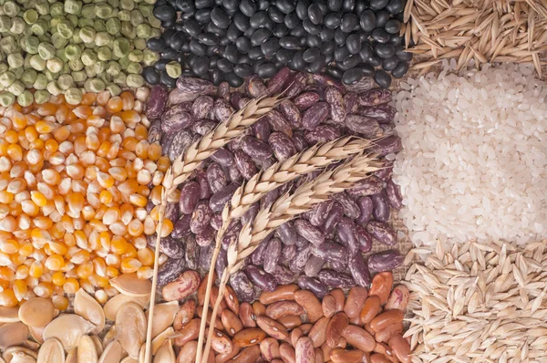 Cereal grains — Stock Photo, Image