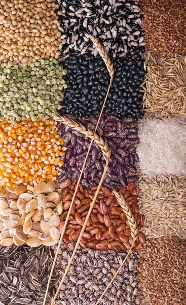 Cereal grains — Stock Photo, Image